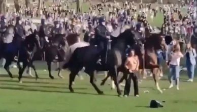 Stupid Naked Girl Trampled: Video